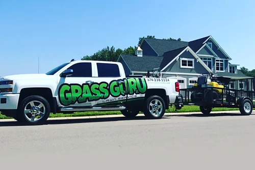 Grass repair near me new arrivals